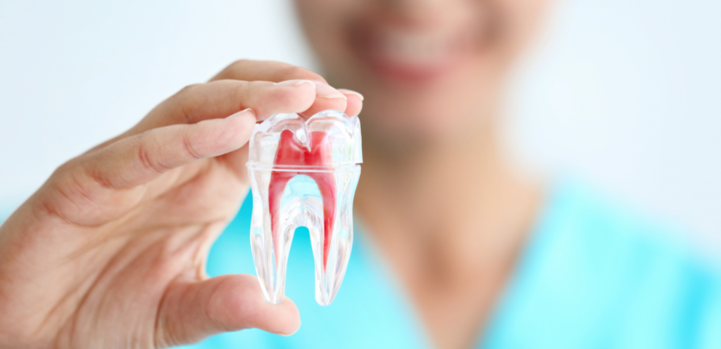 What are the Steps of Root Canal Treatment? Find Out Here!