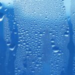 What Is High Humidity? Understanding the Science Behind Moisture in the Air