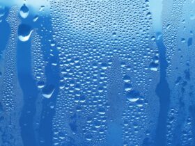 What Is High Humidity? Understanding the Science Behind Moisture in the Air