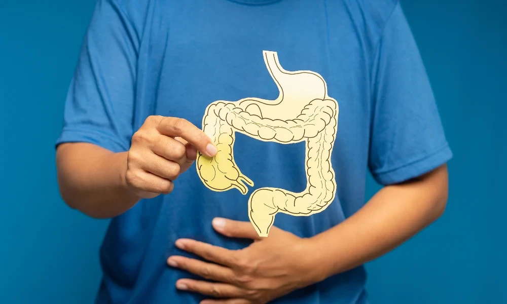Comparing Probiotics NZ Choices for Gut Health and Everyday Immune Support